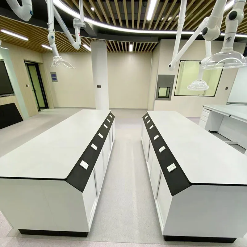 Móveis de laboratório de química de aço